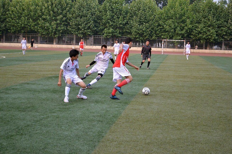 QQ图片20150528231830