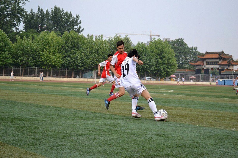 QQ图片20150528231519